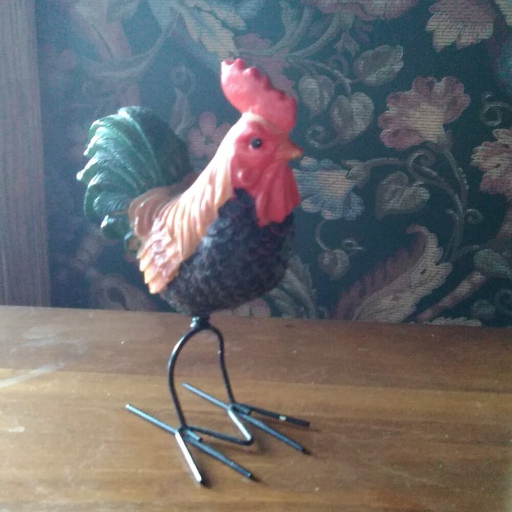 Small Funky Chicken   Fun!